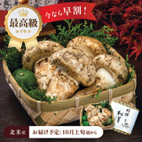 【北米産】最高級ロイヤル松茸