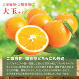 【カリフォルニア産】高糖度ロイヤルネーブルオレンジ