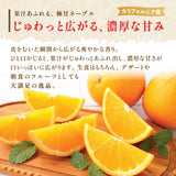 【カリフォルニア産】高糖度ロイヤルネーブルオレンジ