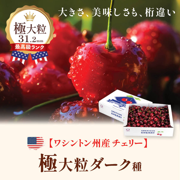 アメリカン・チェリー – oritzjapan