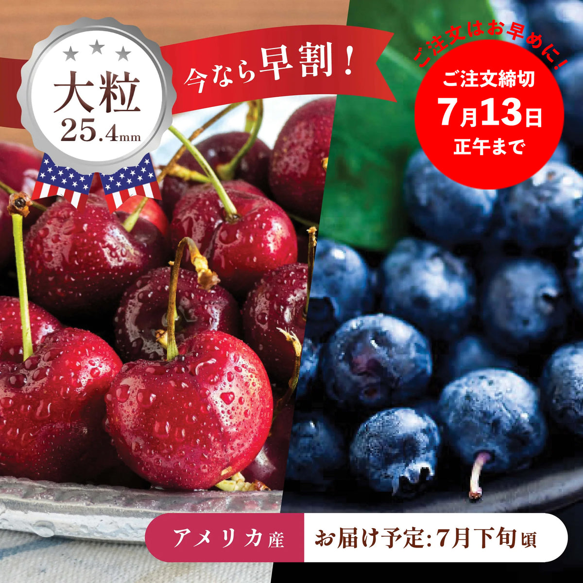 アメリカン・チェリー – oritzjapan